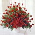 Expressions of Roses